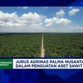 Video: Cara BUMN Kebun Kelola 1,5 Juta Ha Lahan Sawit Sitaan Kejagung