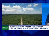 Video: Cara BUMN Kebun Kelola 1,5 Juta Ha Lahan Sawit Sitaan Kejagung