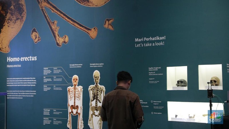 Menteri Kebudayaan Fadli Zon memberi sambutan dalam Taklimat Media Repatriasi Fosil Koleksi Eugene Dubois di Museum Nasional, Jakarta, Kamis, (2/10/2025). (CNBC Indonesia/Muhammad Sabki)