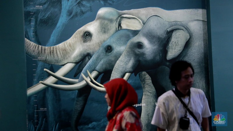 Menteri Kebudayaan Fadli Zon memberi sambutan dalam Taklimat Media Repatriasi Fosil Koleksi Eugene Dubois di Museum Nasional, Jakarta, Kamis, (2/10/2025). (CNBC Indonesia/Muhammad Sabki)