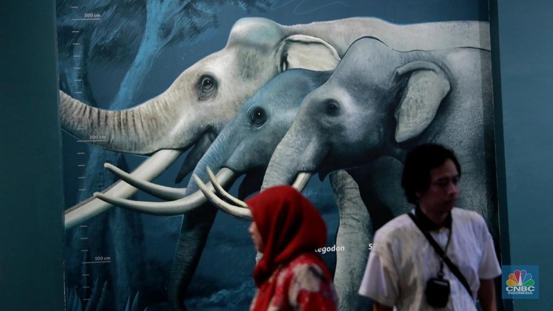 Menteri Kebudayaan Fadli Zon memberi sambutan dalam Taklimat Media Repatriasi Fosil Koleksi Eugene Dubois di Museum Nasional, Jakarta, Kamis, (2/10/2025). (CNBC Indonesia/Muhammad Sabki)