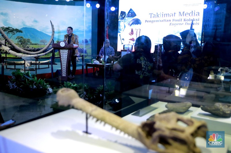 Menteri Kebudayaan Fadli Zon memberi sambutan dalam Taklimat Media Repatriasi Fosil Koleksi Eugene Dubois di Museum Nasional, Jakarta, Kamis, (2/10/2025). Menteri Kebudayaan Fadli Zon memberi sambutan dalam Taklimat Media Repatriasi Fosil Koleksi Eugene Dubois di Museum Nasional, Jakarta, Kamis, (2/10/2025). (CNBC Indonesia/Muhammad Sabki)