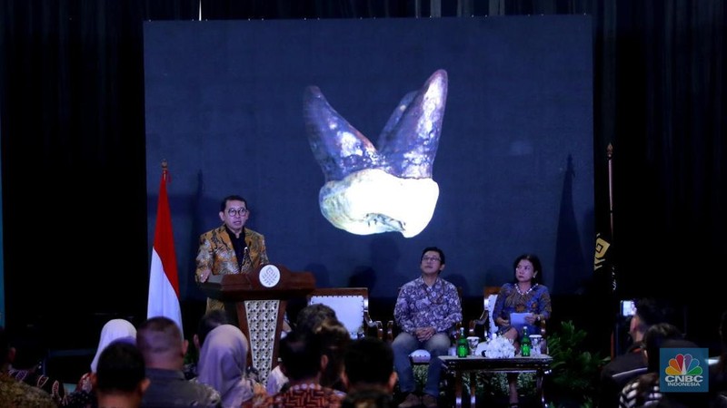 Menteri Kebudayaan Fadli Zon memberi sambutan dalam Taklimat Media Repatriasi Fosil Koleksi Eugene Dubois di Museum Nasional, Jakarta, Kamis, (2/10/2025). (CNBC Indonesia/Muhammad Sabki)