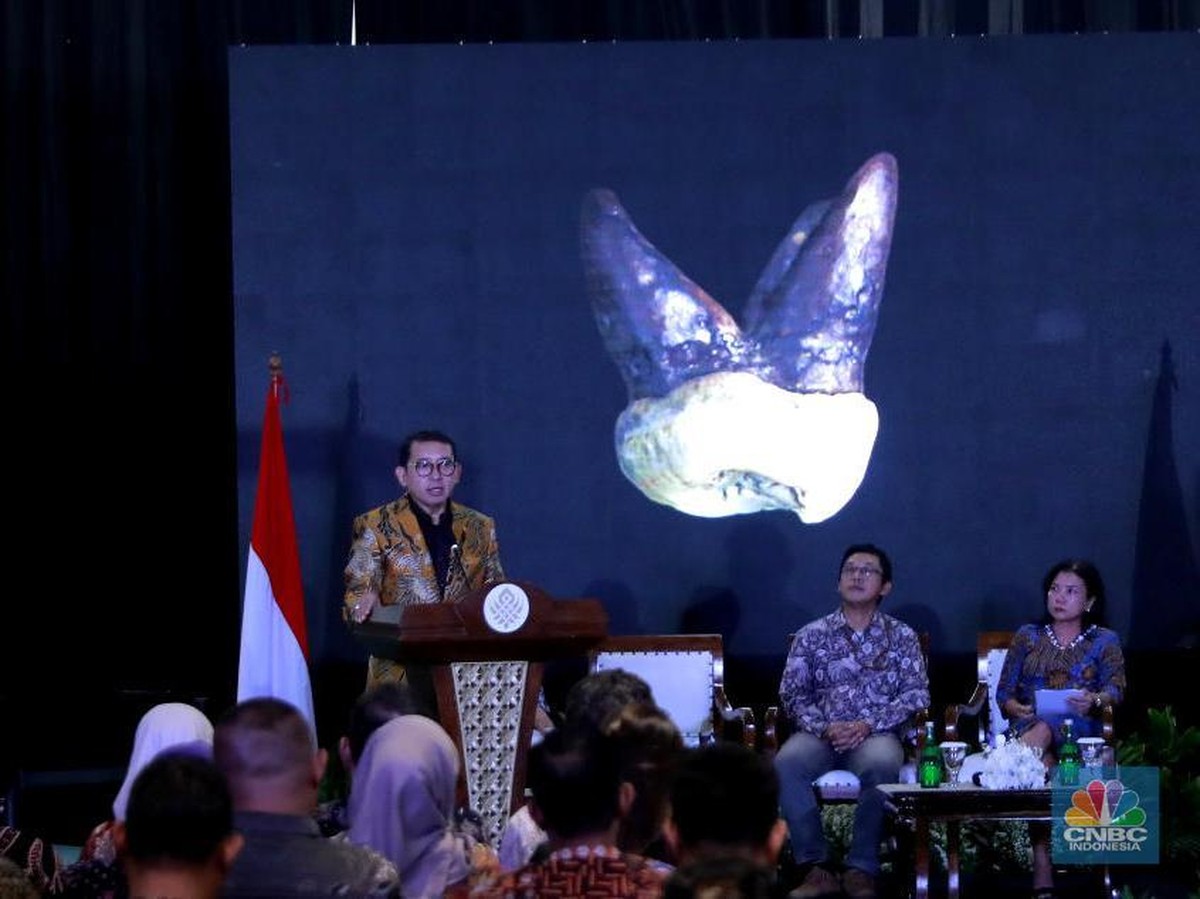 Repatriasi Fosil 'Manusia Jawa': Warisan Budaya Indonesia Kembali dari Belanda