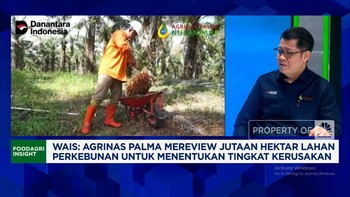 Video: Olah Sawit Negara, Agrinas Palma Butuh Duit Triliunan Danantara