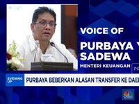 Video: Purbaya Beberkan Alasan Transfer ke Daerah Dipangkas
