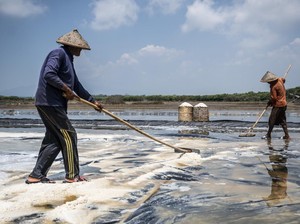 Cuaca Ekstrem Bikin Produksi Garam Diprediksi Cuma 1 Juta Ton Tahun Ini