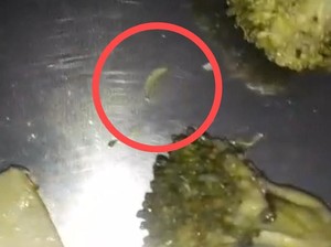 Geger Temuan Ulat di Menu Sayur MBG SDN Maricaya II Makassar