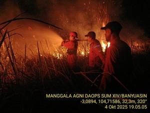 5 Hektare Lahan Kering di Ogan Ilir Terbakar, Api Sudah Dipadamkan