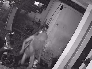Pencuri Berkolor di Medan Lari Terbirit-birit Digonggong Anjing