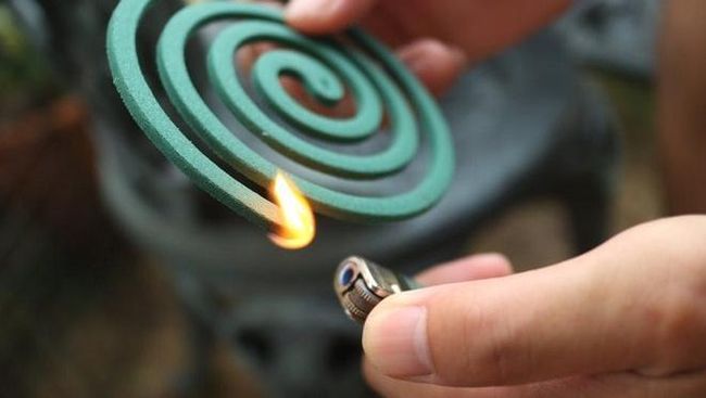 Asap dari Nusantara Tenar Sampai Meksiko, Ampuh Basmi Nyamuk