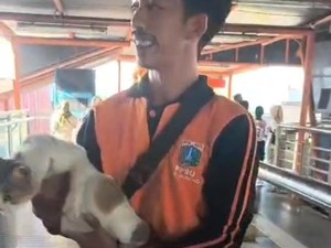 Pasukan Oranye Turunkan Kucing dari Skywalk Kebayoran Lama Gegara Kotoran