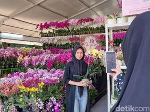 Warna-warni Ratusan Anggrek Hiasi Balai Kota Batu