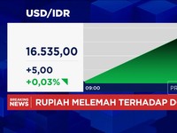 Video: Awal Pekan, Rupiah Tertahan di Level Rp 16.500-an per Dolar AS