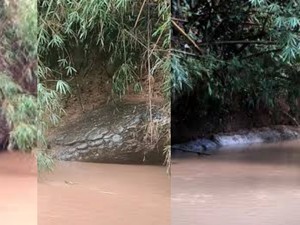 Viral di Thailand! Batu Mirip Ular Raksasa Hebohkan Warga