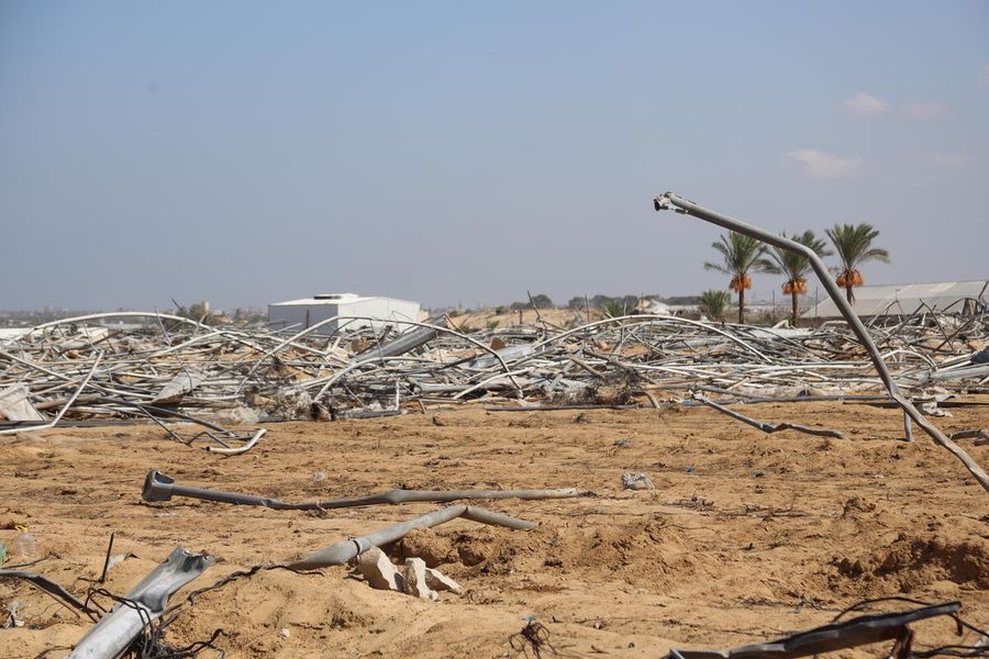 Lahan Pertanian dan Infrastruktur Agrikultur Hancur dan Rusak di Jalur Gaza