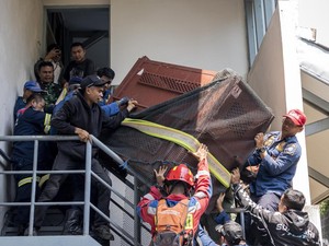 3 Jam Menegangkan Saat Evakuasi Macan Tutul Nyasar Masuk Hotel di Bandung