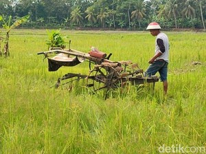 Keresahan Petani Pangandaran Buntut 3 Traktor Raib Dicuri