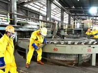 Saham PT Timah (TINS) Gak Masuk Indeks MSCI, Ternyata Gara-Gara Ini