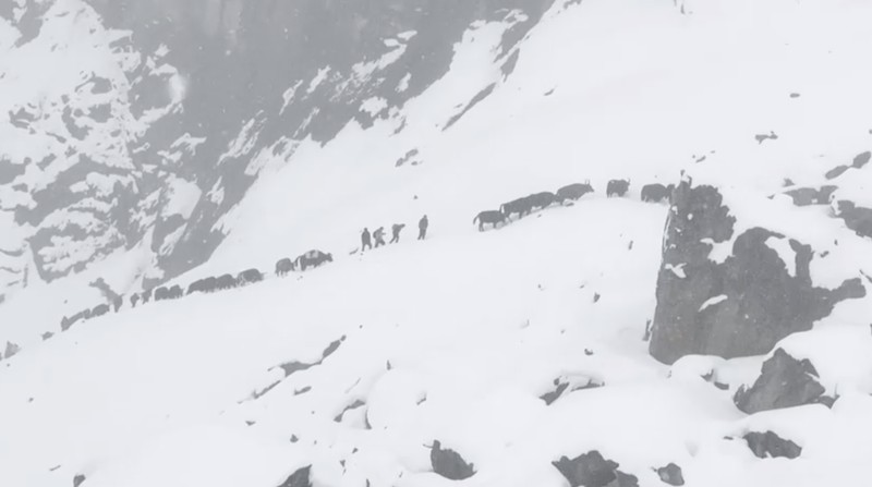 Petugas pemadam kebakaran Tibet menyelamatkan pendaki Everest setelah terdampar akibat badai salju di Tingri, Daerah Otonomi Tibet, Tiongkok, dalam tangkapan layar yang diambil dari video yang dirilis pada 6 Oktober 2025. Departemen Pemadam Kebakaran Tibet/Handout via REUTERS