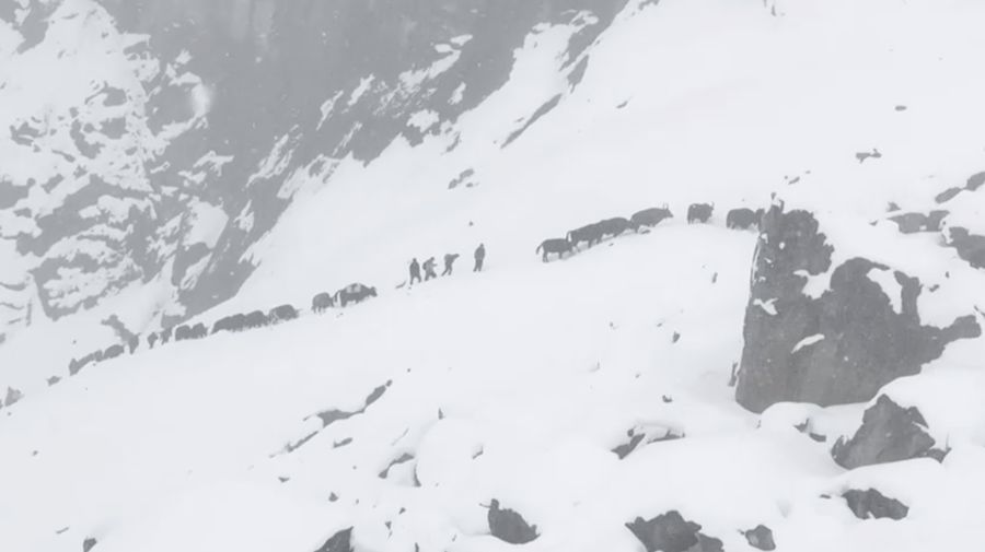 Petugas pemadam kebakaran Tibet menyelamatkan pendaki Everest setelah terdampar akibat badai salju di Tingri, Daerah Otonomi Tibet, Tiongkok, dalam tangkapan layar yang diambil dari video yang dirilis pada 6 Oktober 2025. Departemen Pemadam Kebakaran Tibet/Handout via REUTERS