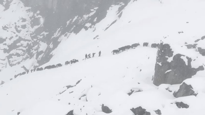 Petugas pemadam kebakaran Tibet menyelamatkan pendaki Everest setelah terdampar akibat badai salju di Tingri, Daerah Otonomi Tibet, Tiongkok, dalam tangkapan layar yang diambil dari video yang dirilis pada 6 Oktober 2025. Departemen Pemadam Kebakaran Tibet/Handout via REUTERS