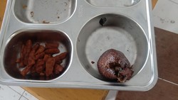 Ada Salak Busuk di Menu Makan Bergizi Gratis SDN Oi Mara NTB