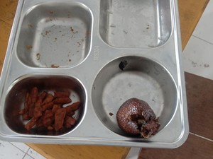 Ada Salak Busuk di Menu Makan Bergizi Gratis SDN Oi Mara NTB