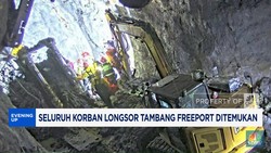 Video: Seluruh Korban Longsor Tambang Freeport Ditemukan