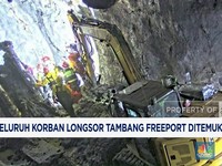 Video: Seluruh Korban Longsor Tambang Freeport Ditemukan