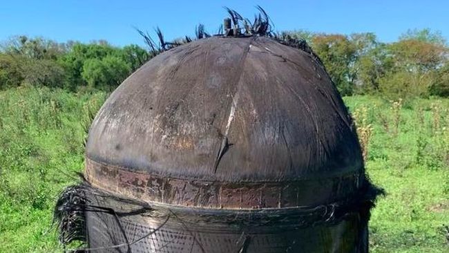 Sosok Berbulu Jatuh dari Langit Hantam Lahan Pertanian, Apa Itu?