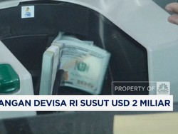 Video: Stabilkan Rupiah, Cadangan Devisa RI Susut USD 2 Miliar