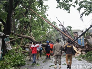 Reklame hingga Pohon Tumbang di Tangsel Diterjang Hujan Angin Kencang