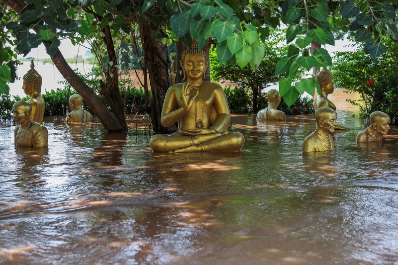 Patung-patung Buddha sebagian terendam di tepi sungai yang banjir akibat hujan deras dan luapan sungai, dengan Ayutthaya sebagai salah satu daerah yang paling parah terkena dampaknya, di distrik Bang Ban, provinsi Ayutthaya, Thailand, 8 Oktober 2025. REUTERS/Chalinee Thirasupa