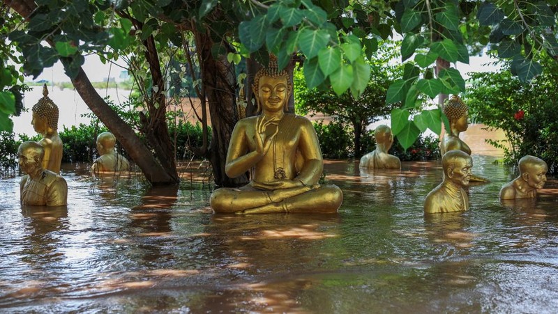 Patung-patung Buddha sebagian terendam di tepi sungai yang banjir akibat hujan deras dan luapan sungai, dengan Ayutthaya sebagai salah satu daerah yang paling parah terkena dampaknya, di distrik Bang Ban, provinsi Ayutthaya, Thailand, 8 Oktober 2025. REUTERS/Chalinee Thirasupa