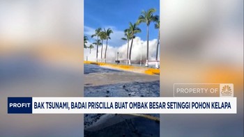 Video: Ngeri! Badai Priscilla Bikin Ombak Bersar Setinggi Pohon Kelapa