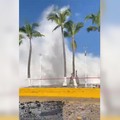 Bak Tsunami, Badai Priscilla Buat Ombak Besar Setinggi Pohon Kelapa