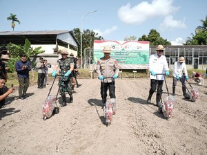 Dukung Program Ketahanan Pangan, Polda Bali Tanam Jagung di Gianyar