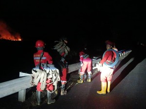 Karhutla Terjadi di KM 355 Tol Kayu Agung, Api Sudah Padam