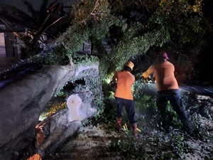 Desakan Wabup Tasik soal Penanganan Pohon Tumbang di Jalur Nasional