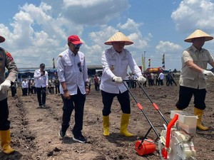 Kalsel Jadi Percontohan Daerah Pemanfaatan Lahan Tak Produktif