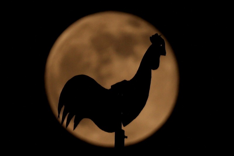 Supermoon pertama tahun ini, yang dikenal sebagai Harvest Moon, terbit di atas Manhattan bagian bawah, seperti yang terlihat dari Jersey City, New Jersey, AS, 6 Oktober 2025. Supermoon pertama tahun ini, yang dikenal sebagai Harvest Moon, terbit di atas Manhattan bagian bawah, seperti yang terlihat dari Jersey City, New Jersey, AS, 6 Oktober 2025. (REUTERS/Kylie Cooper)
