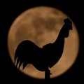 Penampakan Supermoon di Seluruh Dunia, Bulan Terasa Dekat