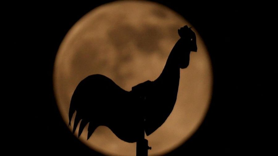 Supermoon pertama tahun ini, yang dikenal sebagai Harvest Moon, terbit di atas Manhattan bagian bawah, seperti yang terlihat dari Jersey City, New Jersey, AS, 6 Oktober 2025. (REUTERS/Kylie Cooper)