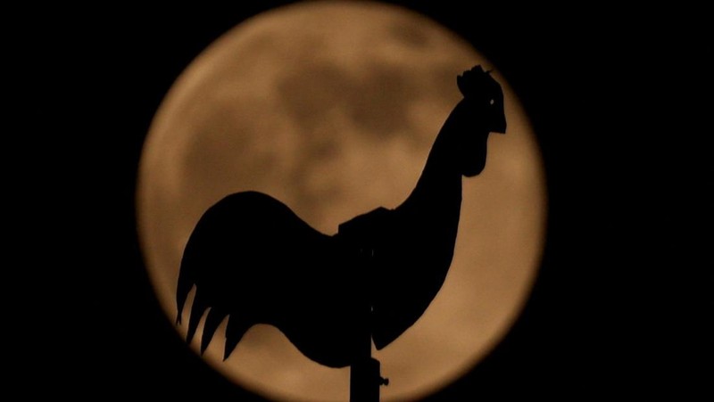 Supermoon pertama tahun ini, yang dikenal sebagai Harvest Moon, terbit di atas Manhattan bagian bawah, seperti yang terlihat dari Jersey City, New Jersey, AS, 6 Oktober 2025. (REUTERS/Kylie Cooper)