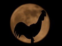 Penampakan Supermoon di Seluruh Dunia, Bulan Terasa Dekat