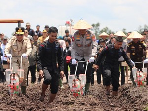 Asa Menanam Jagung di 136 Hektare Lahan Kalteng