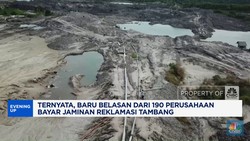 Video:Baru Belasan dari 190 Perusahaan Bayar Jaminan Reklamasi Tambang