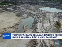 Video:Baru Belasan dari 190 Perusahaan Bayar Jaminan Reklamasi Tambang