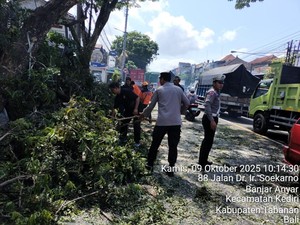 Driver Ojol Patah Tulang Tertimpa Pohon di Bypass Soekarno Tabanan